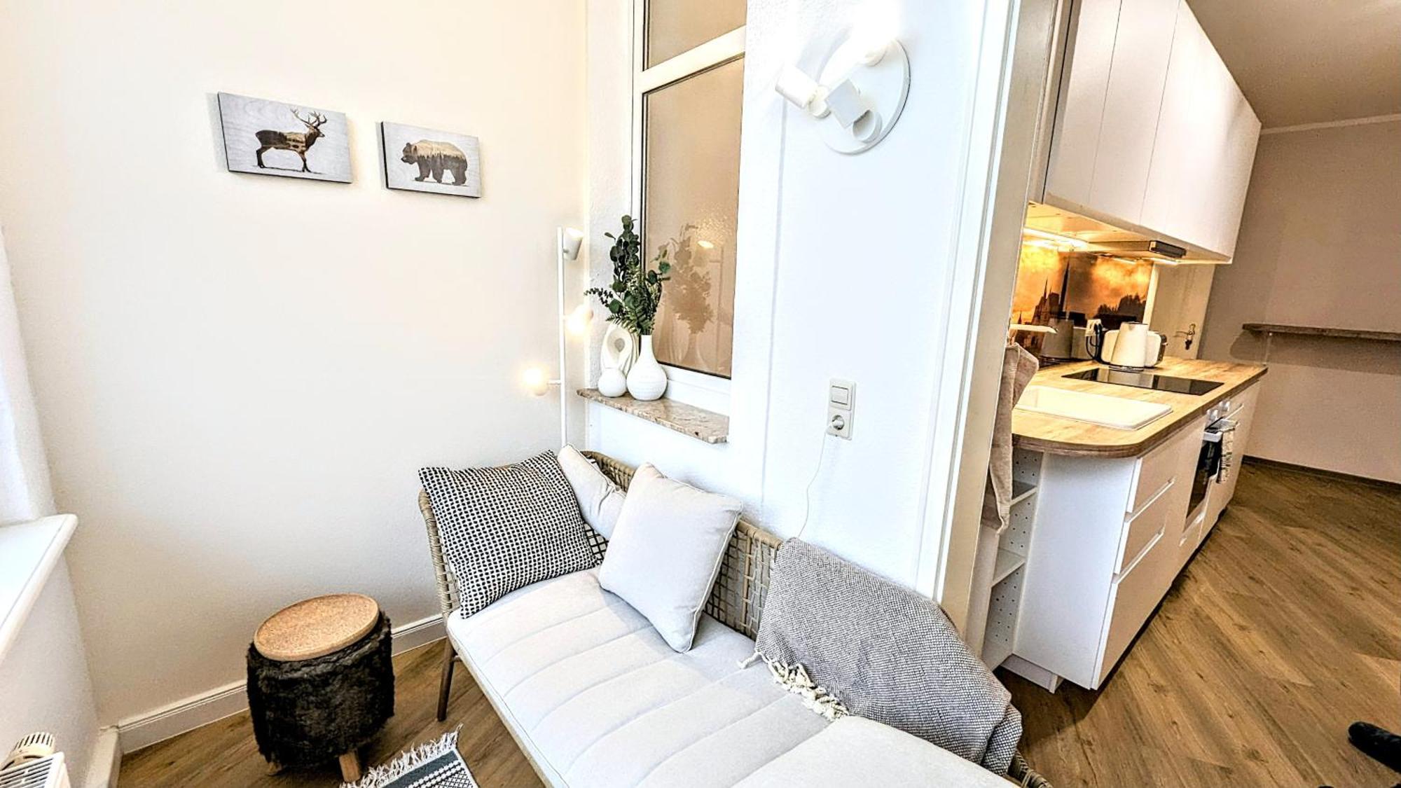 Meissen Apartments - Moderne Ferienwohnungen In Meissen Am Lutherplatz 외부 사진